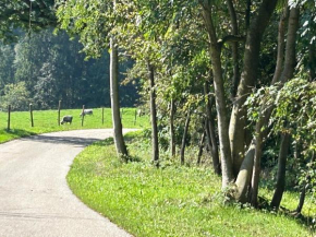 Natur pur Josefine